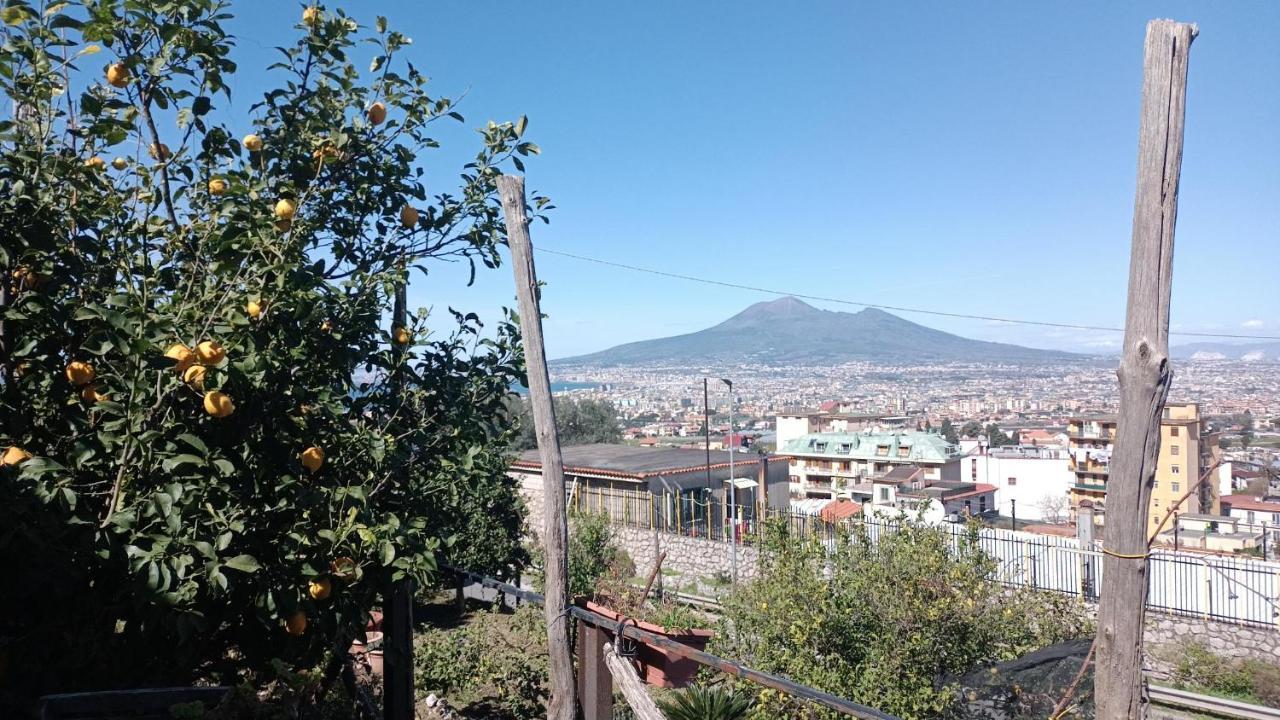 B&B Il Limoneto Gragnano Esterno foto