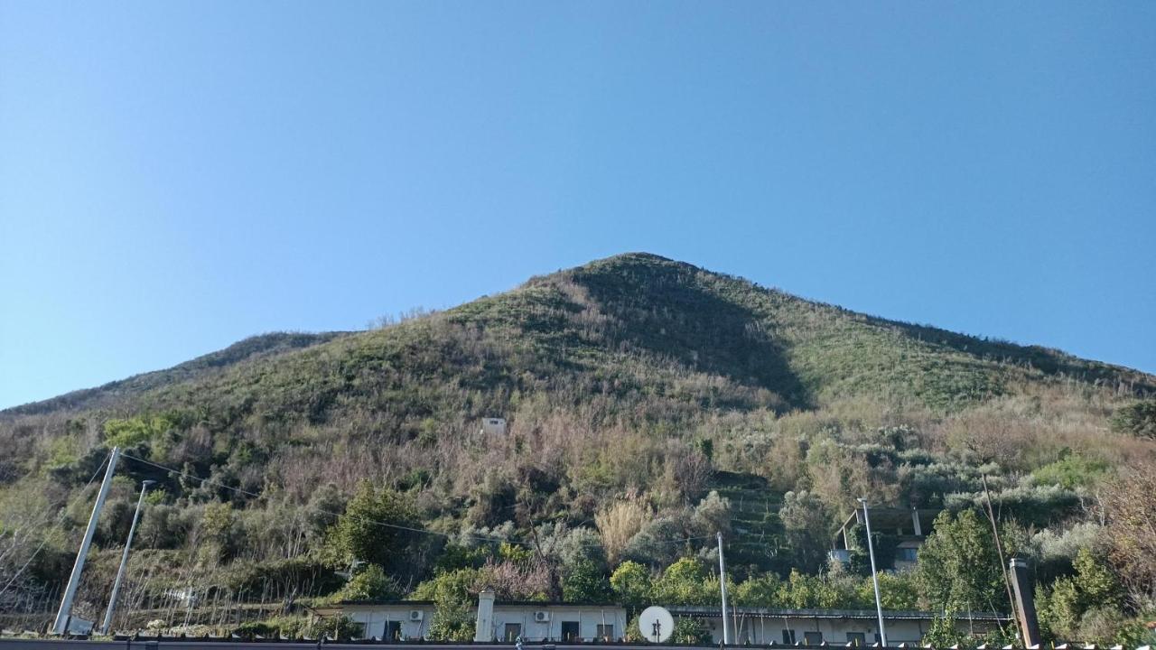 B&B Il Limoneto Gragnano Esterno foto