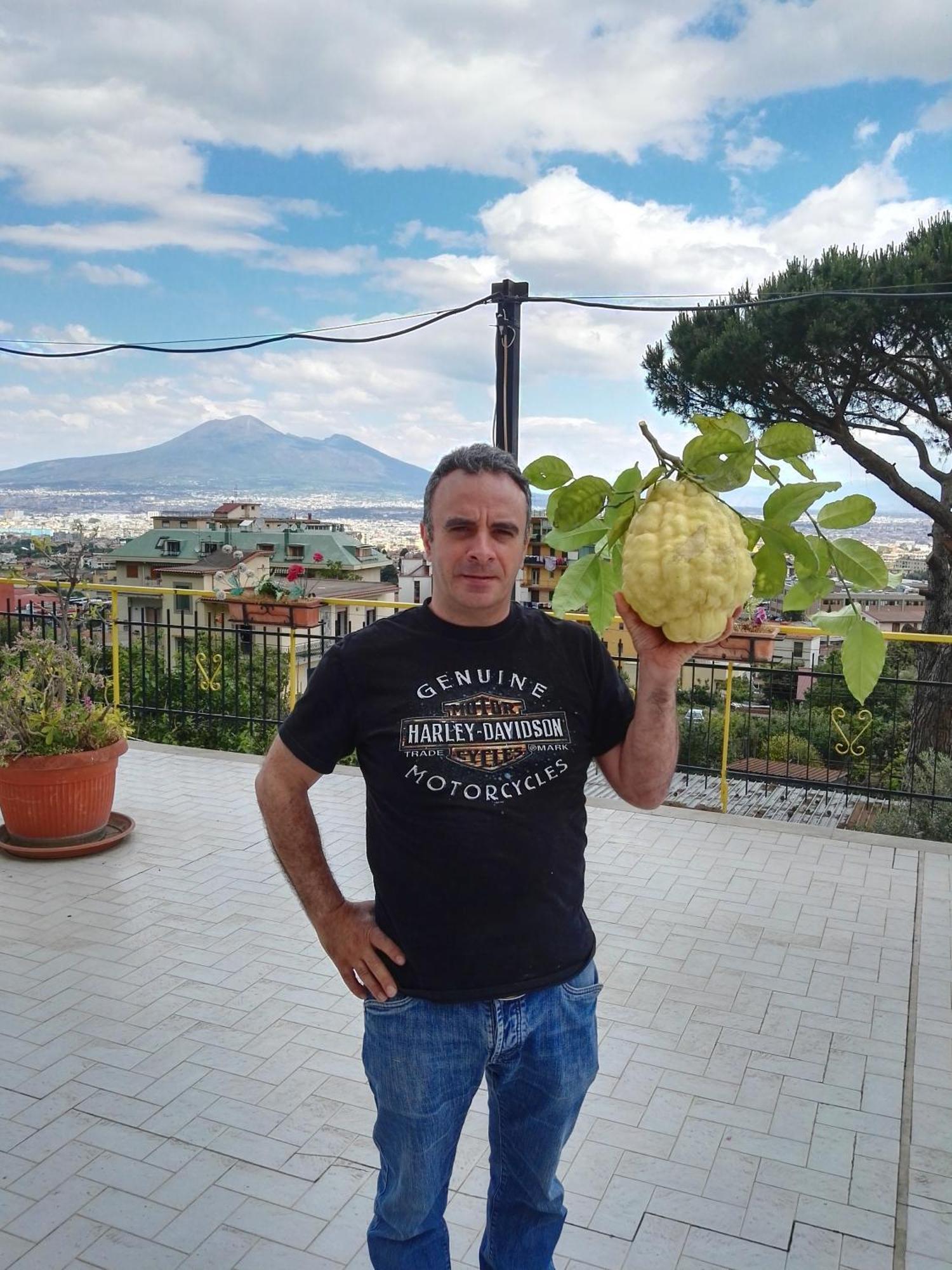B&B Il Limoneto Gragnano Esterno foto